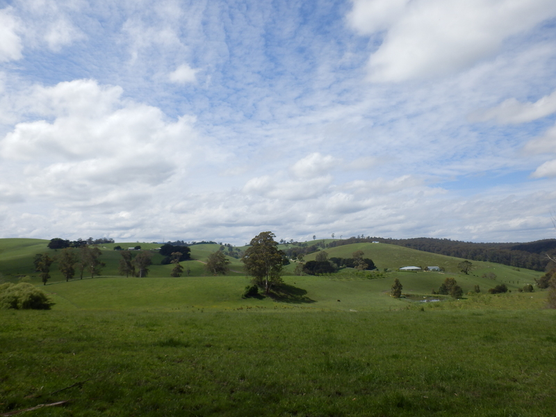 Open Field above the Confluence