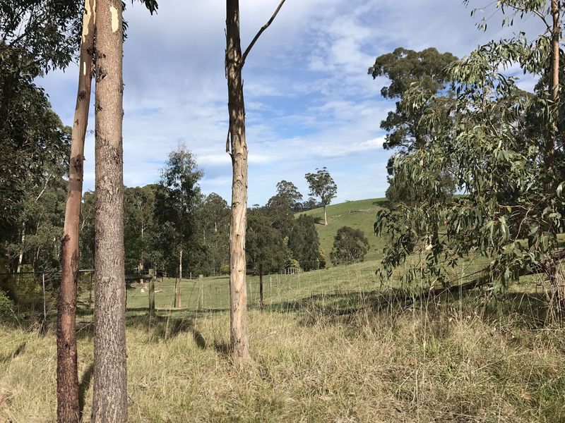 View of the surrounding countryside from a point 500 meters north of the confluence, looking west.