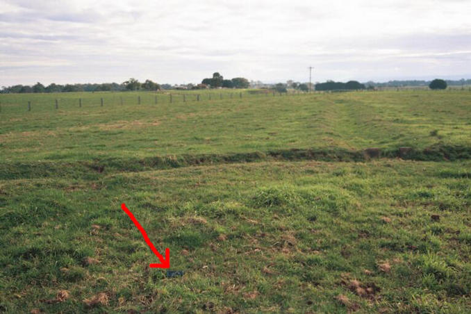 The GPS in the grass, view to the west.