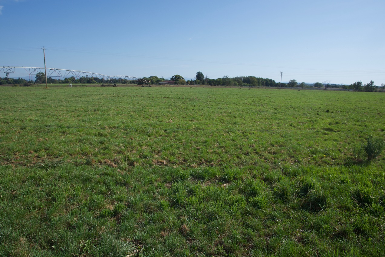 The confluence point lies in farmland, near a central pivot irrigation machine. (This is also a view to the North.)