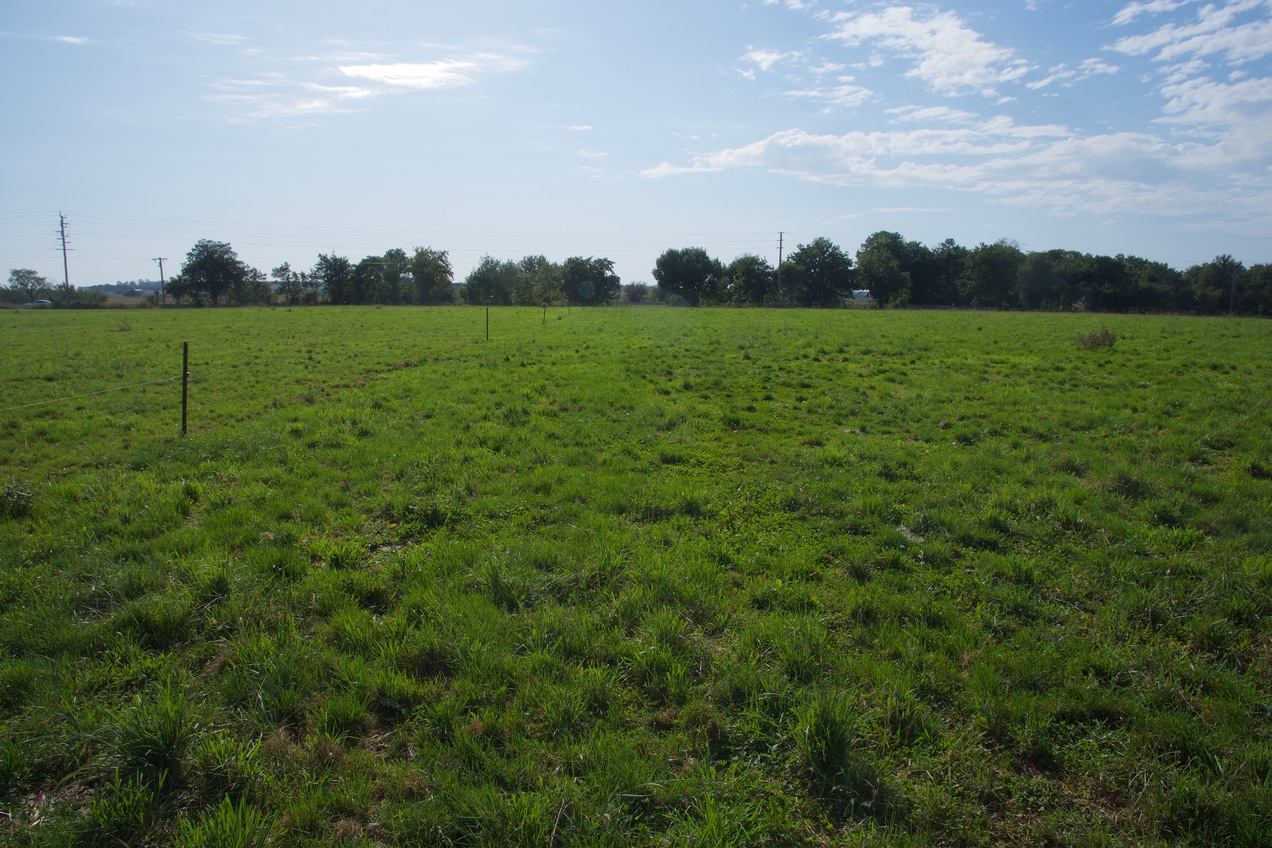 View East (towards Maffra-Sale Road, 100 m away)