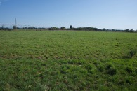 #3: The confluence point lies in farmland, near a central pivot irrigation machine. (This is also a view to the North.)