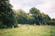 #7: The entrance to the field