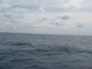 #1: LOOKING NORTH TOWARDS THE COAST, FROM WALKERVILLE TO SANDY POINT