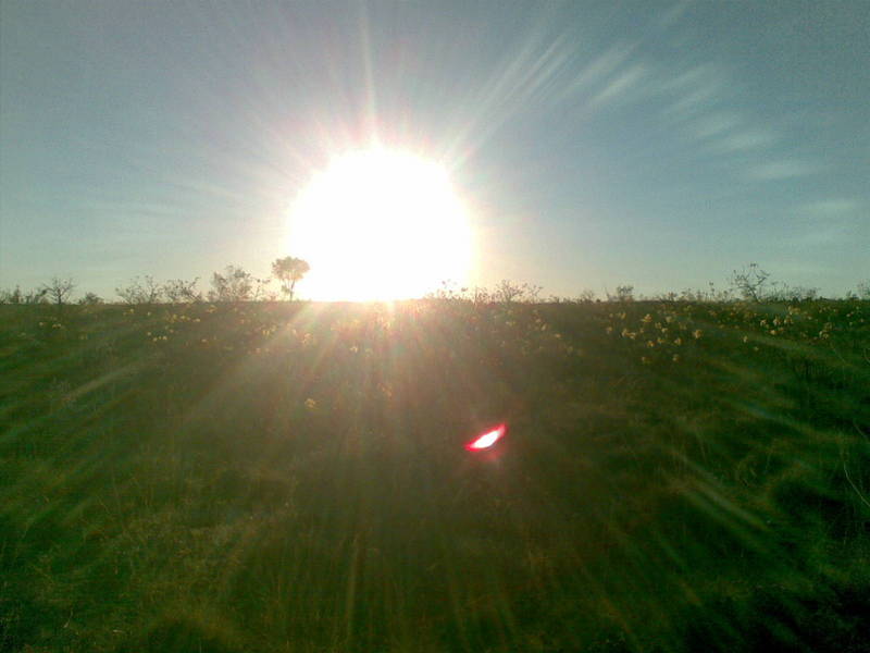 View from the confuence point, facing west into the setting sun.