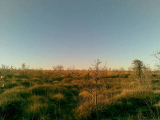 #1: View from the confuence point, facing north.