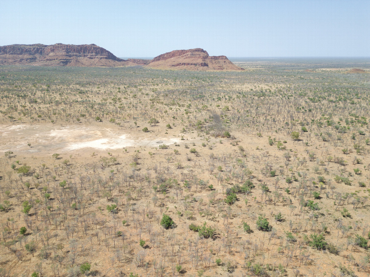 View South, from 120m above the point