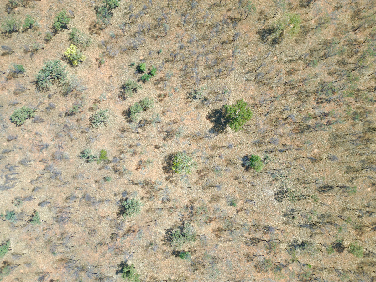 Looking down on the point from a height of 120m