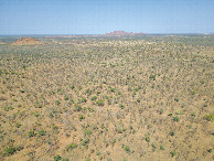 #11: View West, from 120m above the point