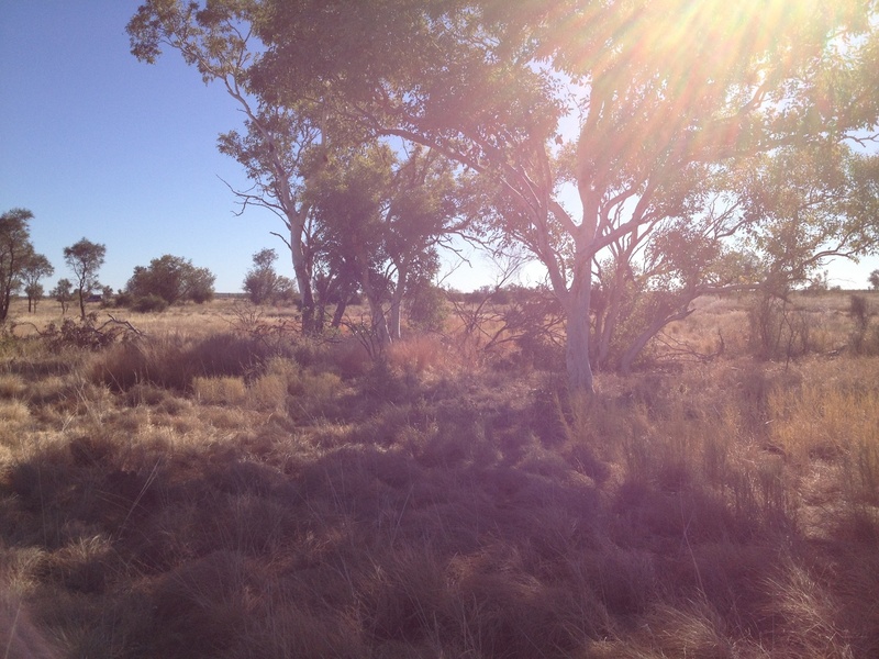 Looking West, Car in distance