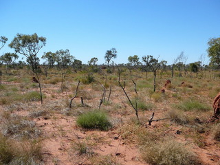 #1: View towards Confluence within 100M