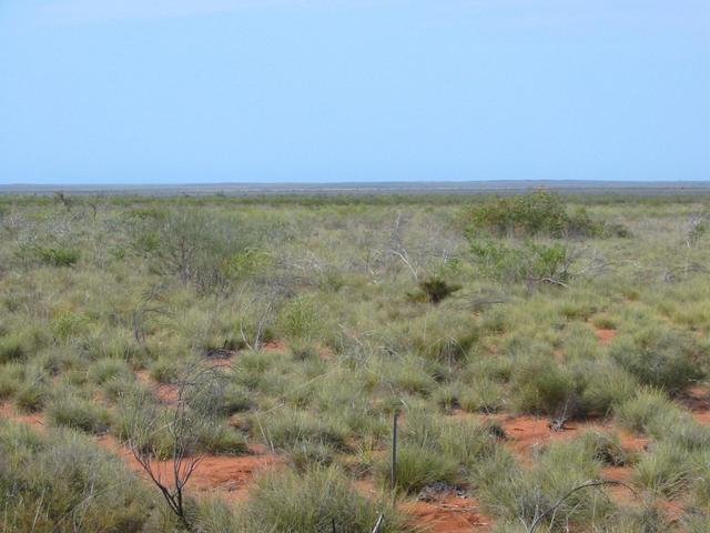 Confluence area. The confluence is near the stake in the ground.