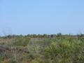 #6: My bicycle parked by the side of the highway