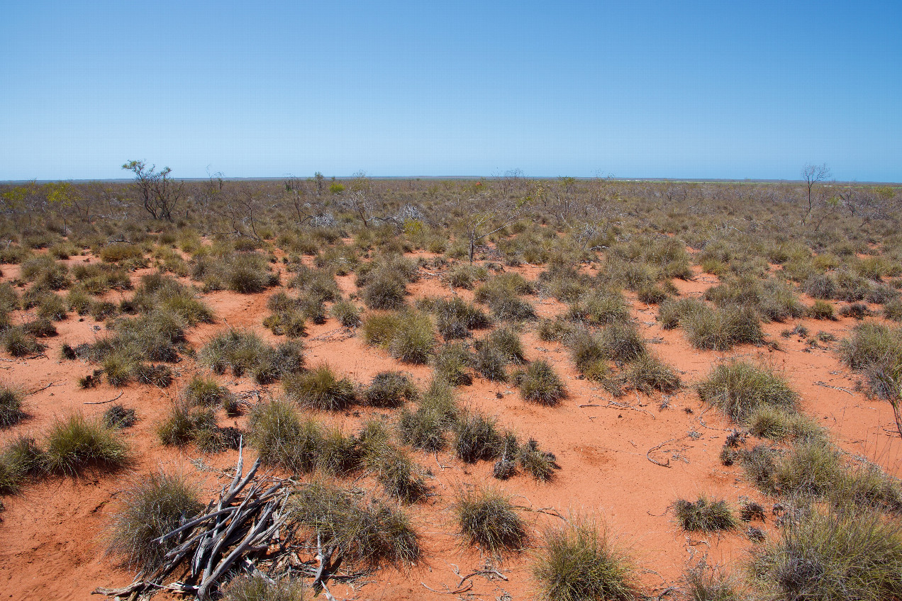 The confluence point lies in scrubland, just North of the Great Northern Highway.  (This is also a view to the North.)