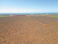 #8: View North (across part of Pardoo Station, with the Indian Ocean beyond) from a height of 120m