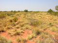 #4: View from the confluence looking south