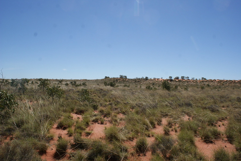 North view from confluence