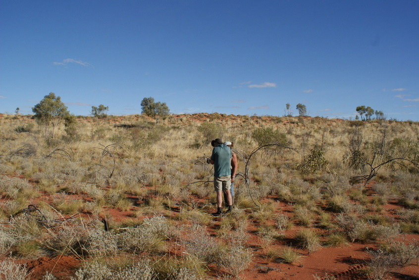 The view to the south of the confluence. J & S mark the actual confluence