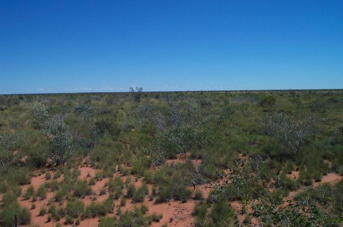 View north from 20°S 128°E