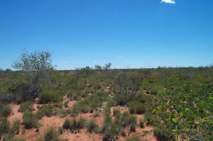 Looking north towards 20°S 128°E, 20m away