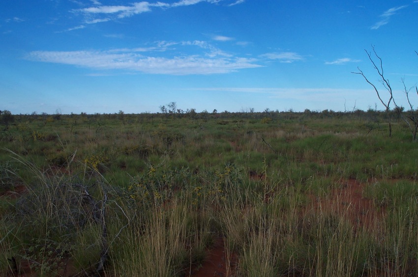 View east from 20°S 129°E