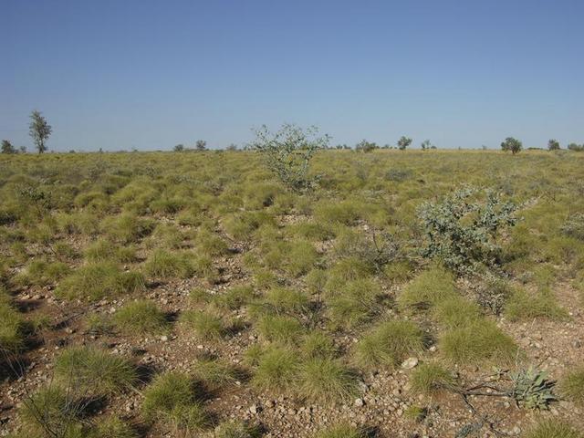 View from the confluence, looking east