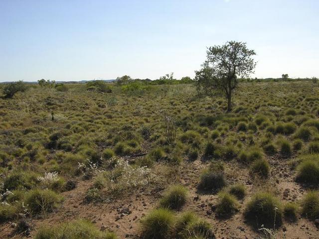 View from the confluence, looking west