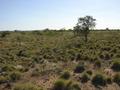 #5: View from the confluence, looking west