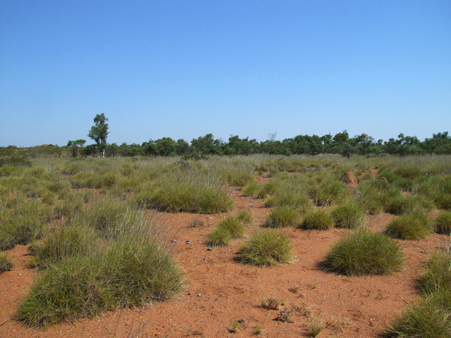 Facing South