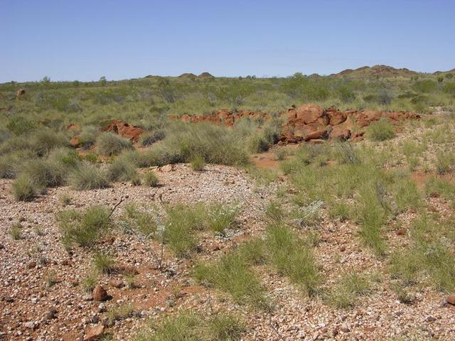 View from the confluence, looking east