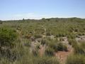 #2: View from the confluence, looking north