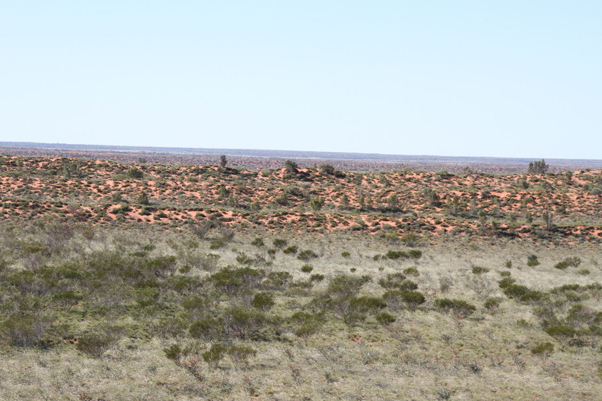 The Dune Country north of the confluence