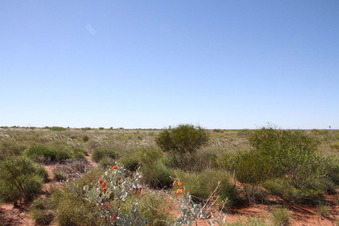 #1: Confluence site looking north