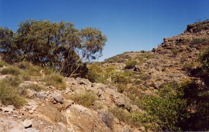 Facing south at confluence