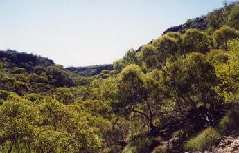 #1: At the confluence 22S 114E facing north