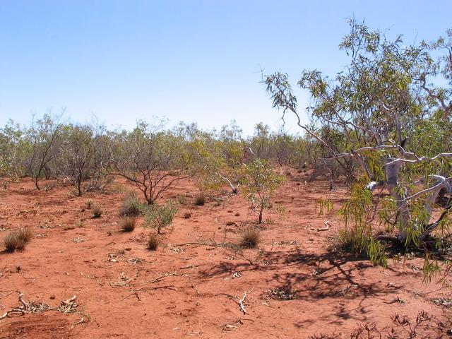 Confluence from 50m east