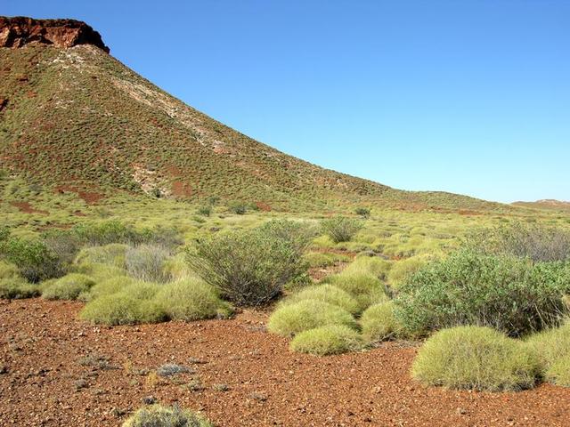 View of the confluence looking north east.