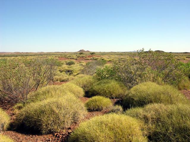 View from the confluence looking south