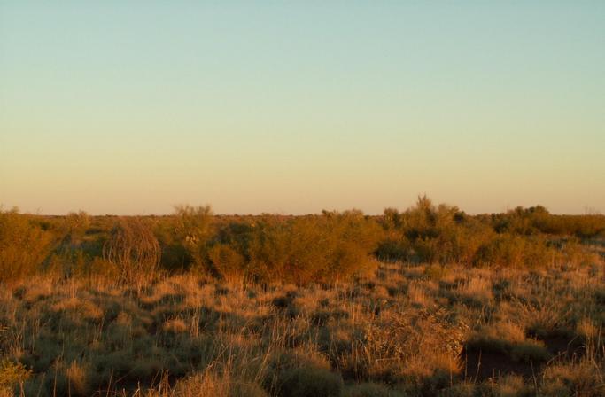 Looking West from the Confluence