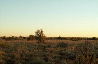 #1: View North from Confluence