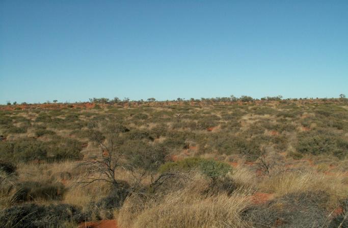 Looking south towards the Confluence about 200m away