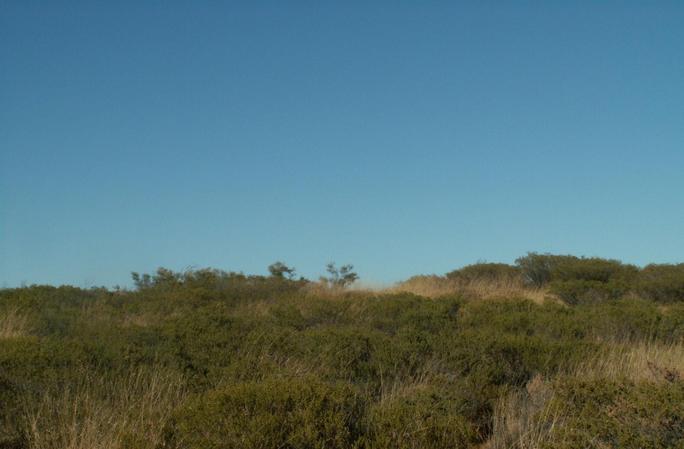 Looking S from the Confluence