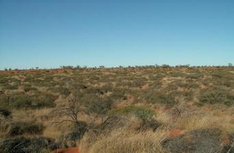 #1: Looking south towards the Confluence about 200m away