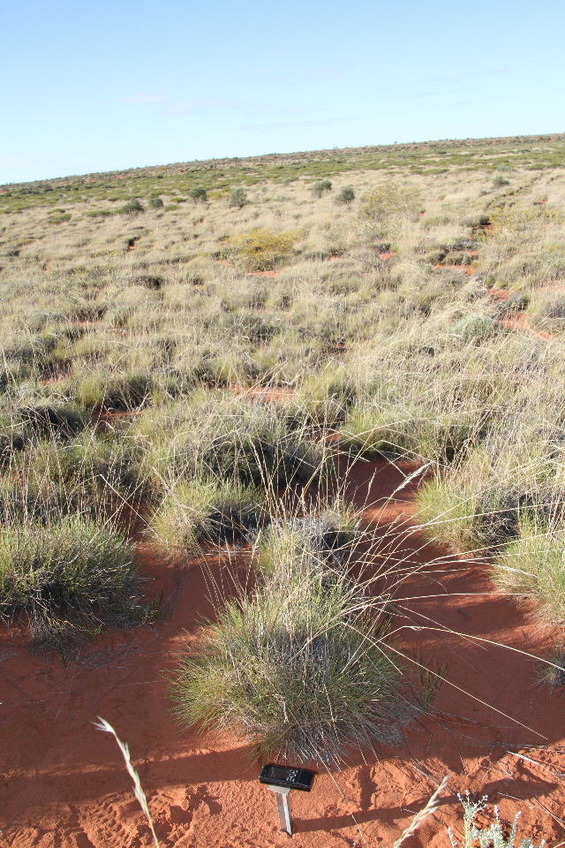 Confluence site