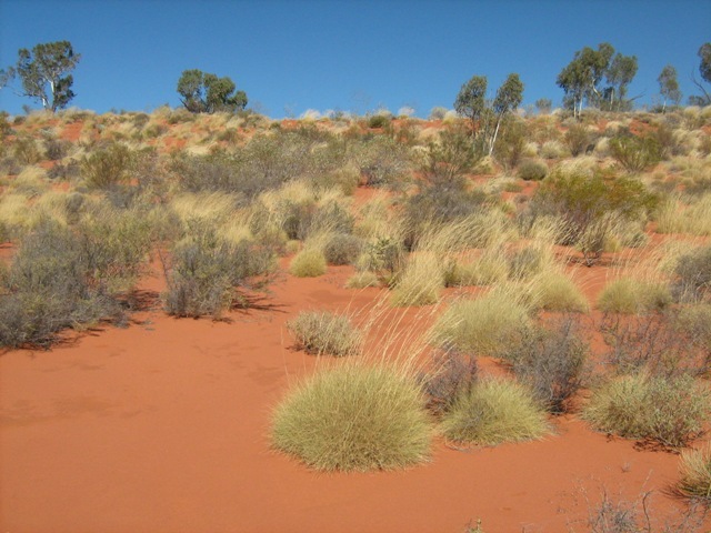 View to south of confluence