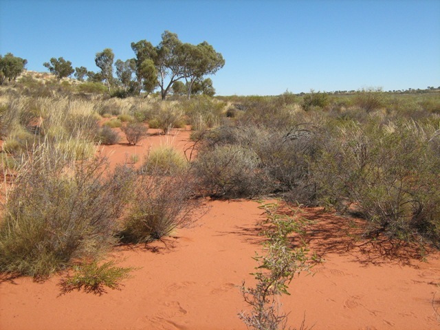 View to west of confluence