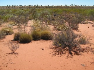 #1: View to north of confluence