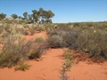 #4: View to west of confluence