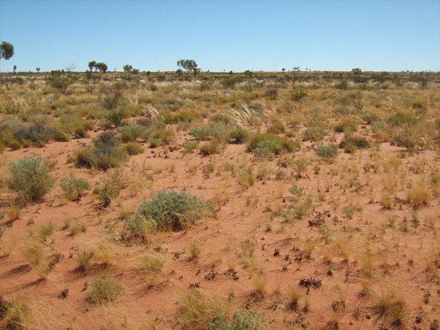 View to north of confluence