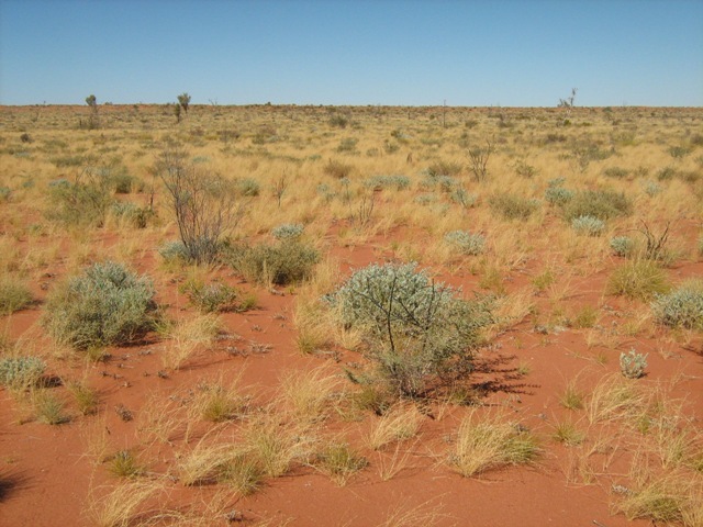 View to south of confluence